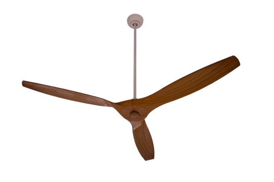 Electric ceiling fan
