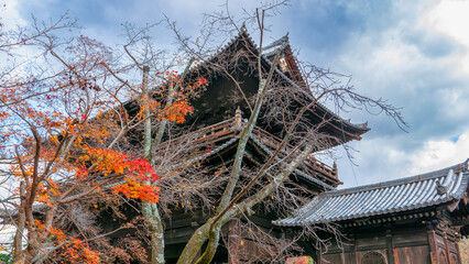 Obraz premium Vibrant autumn leaves frame the ancient wooden gate of Nanzen-ji Temple, creating a stunning contrast between the warm hues of fall and the temple's dark wooden structure. Kyoto, Japan.