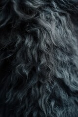 Naklejka premium Intricate texture of dark wool showcasing natural fibers and curls