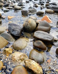 Pebbles in the water of a mountain river, closeup of photo