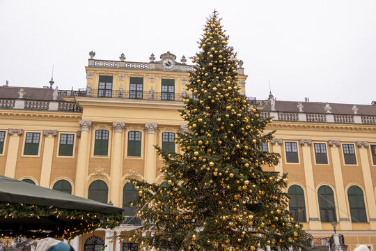 Decorated Christmas tree at the Christmas market in front of Sch&ouml;nbrunn Palace, Weihnachtsmarkt in Sch&ouml;nbrunn, Austria, Vienna, December 2, 2024