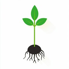 Fototapeta premium Fresh green sprout emerging from dark soil, symbolizing growth, nature, and the start of new life.