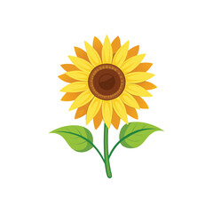 Fototapeta premium sun-flower-with-white-background.eps