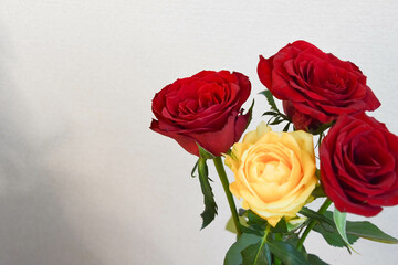 赤と黄色のばら