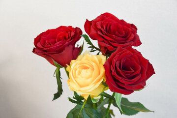黄色と赤のばら