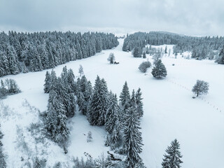 aerial photography of a snowy landscape with spruce and fir forest in alpine landscape of Vorarlberg next to Sulzberg, Austria