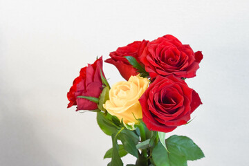 赤と黄色のばら