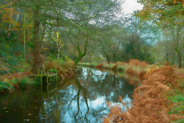 Digital oil painting of autumn, fall tree and leaf colours along the Caldon canal at Denford in Staffordshire.