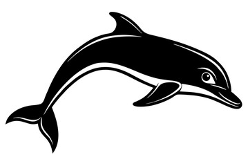 dolphin isolated on white