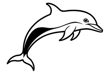dolphin isolated on white background