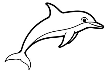 dolphin isolated on white