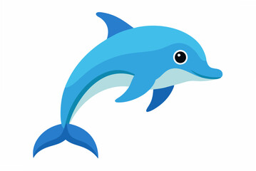 dolphin in the water