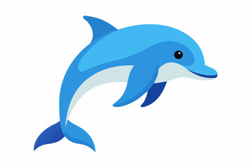 dolphin isolated on white