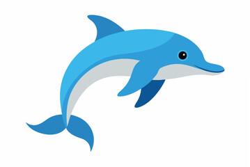 dolphin isolated on white background