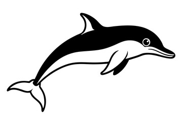 dolphin illustration