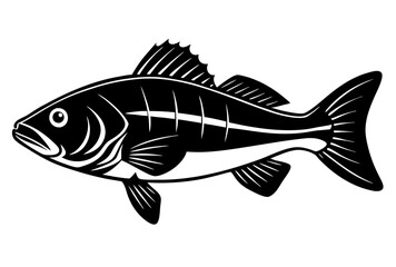 fish on white background