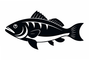 illustration of a fish