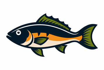 fish on a white background