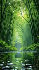 Obraz premium 绿意竹林溪流林荫舒适树荫小河流水