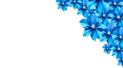 photo of blue flowers bouquet on a white background, close up on the flowers