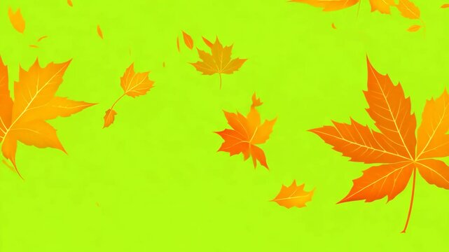 Colorful Autumn leaves falling down on green screen background. Vibrant red orange fall leaves animated green backdrop. Frame Template. Chroma key. Motion graphics. 4K creative video clip for overlay