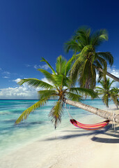 beautiful tropical island with green palm trees and a colorful hammock on the sandy white beach