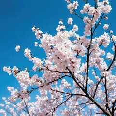 a tree with white flowers