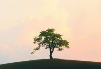 Obraz premium a lone tree on a hill