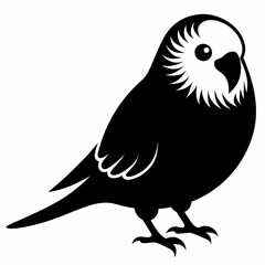 Budgerigar Black Silhouette Vector on White Background