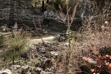 phaselis antic archeologic site in turkey