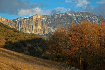 Chamaloc, Parc naturel régional du Vercors, 26, Drôme, Region Rhone Alpes, France