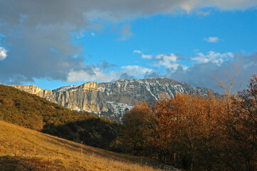 Chamaloc, Parc naturel régional du Vercors, 26, Drôme, Region Rhone Alpes, France