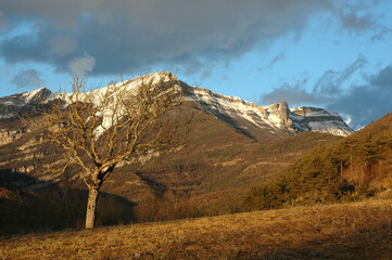 Chamaloc, Parc naturel régional du Vercors, 26, Drôme, Region Rhone Alpes, France