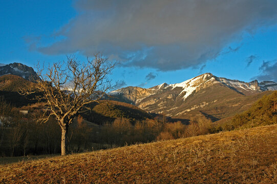 Chamaloc, Parc naturel r&eacute;gional du Vercors, 26, Dr&ocirc;me, Region Rhone Alpes, France