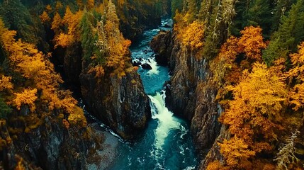 Autumnal River Gorge: A Breathtaking Aerial View