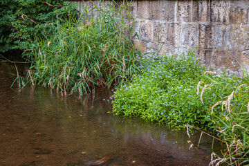 Impressionen aus Quedlinburg Mühlgraben