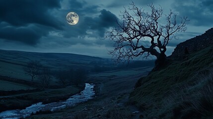 Fototapeta premium Nocturnal Serenity: A Moonlit Landscape
