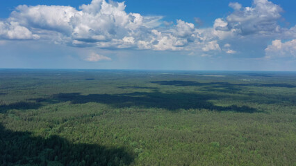 Fototapeta premium Aerial view of summer forest