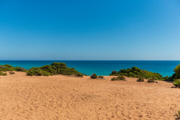 playas de cádiz 2025 calas de conil de la frontera