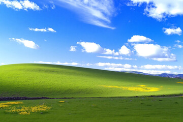 Obraz premium serene landscape with rolling hills wildflowers dirt path