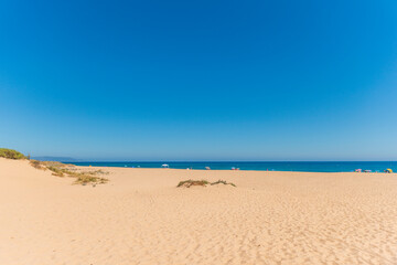 Fototapeta premium cabo de trafalgar cádiz 2025