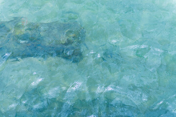 CÁDIZ DETALLES DE LA CIUDAD 2025 , CÁDIZ PHOTOS WITH DETAILS OF THE CITY SPAIN
