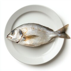 A steamed whole fish on a plate, traditional food, photorealistic style, silver and white, isolated on white background