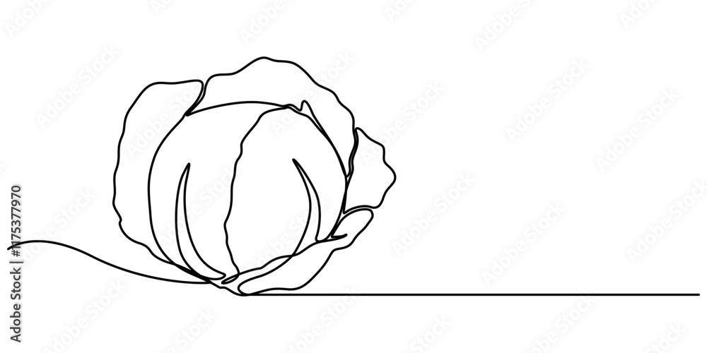 Poster single continuous line drawing whole and cut sliced healthy organic headed cabbage for farm logo ide