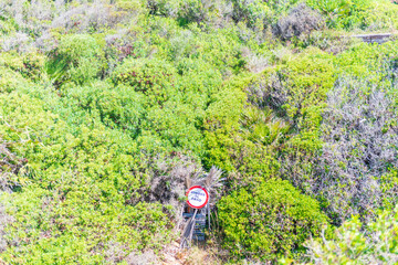 PROHIBIDO EL PASO EN MEDIO DEL MONTE CALAS DE ROCHE CONIL DE LA FRONTERA DETALLES 2024