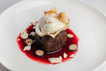 Decadent chocolate lava cake with vanilla ice cream, crunchy meringue, fresh blueberries, and a colorful berry coulis for a luxurious dessert experience. Restaurant or cafe menu, cookbook recipe