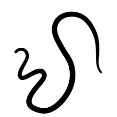 Parasiting worm vector