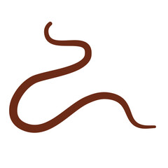 Parasiting worm vector