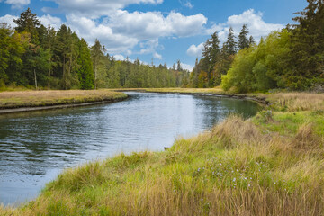 Beautiful summer landscape of a meadow near river and forest. Scenic rural landscape. Autumn in British Columbia.