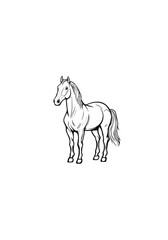 Obraz premium Majestic Full-Body Horse Line Illustration